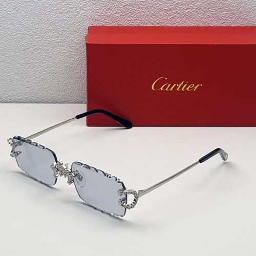 Cartier Sunglasses-1024